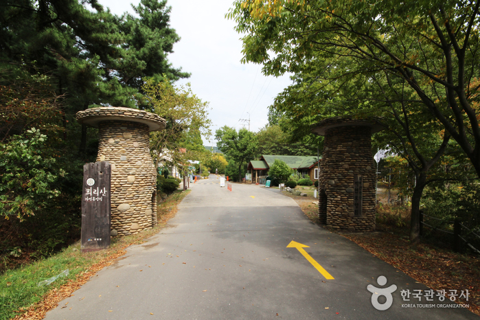 国立希里山海松自然休养林(국립 희리산해송자연휴양림)