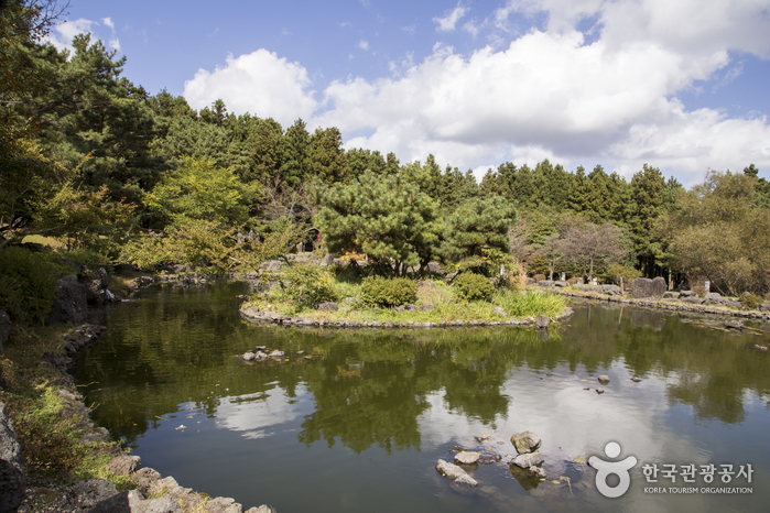 济州寺水自然休养林(제주절물자연휴양림) 济州寺水自然休养林(제주절물자연휴양림)