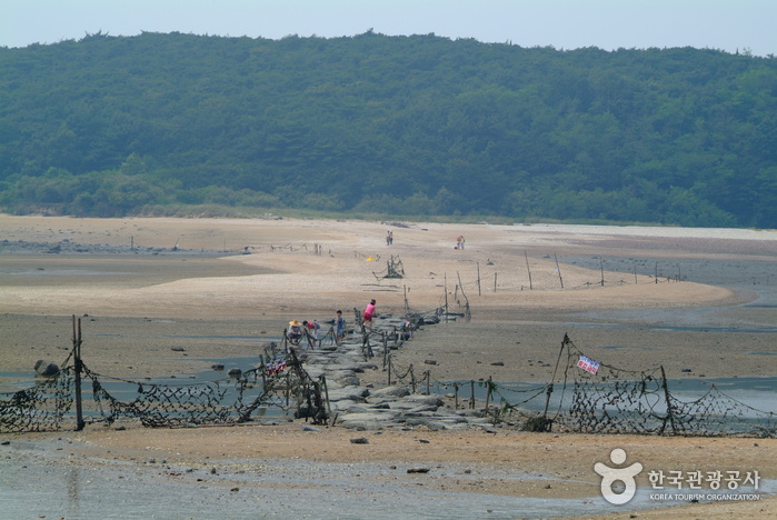 电影《实尾岛》外景地영화 [실미도] 촬영지