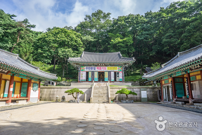 禅本寺(庆山)선본사(경산) 禅本寺(庆山)선본사(경산)