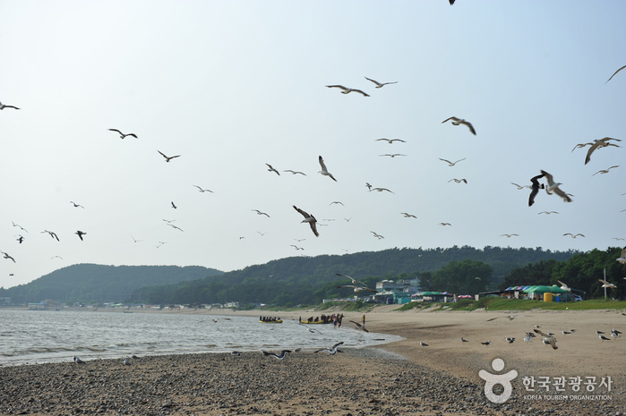龙游岛 马嘶鞍海滩(용유도 마시안해변) 龙游岛 马嘶鞍海滩(용유도 마시안해변)