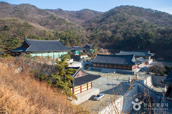 觉愿寺(각원사) 觉愿寺(각원사)