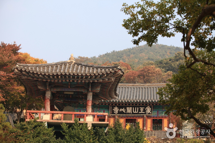 开心寺(瑞山)개심사(서산)