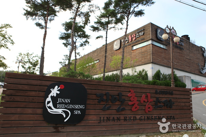 鎮安紅蔘SPA(진안홍삼스파)