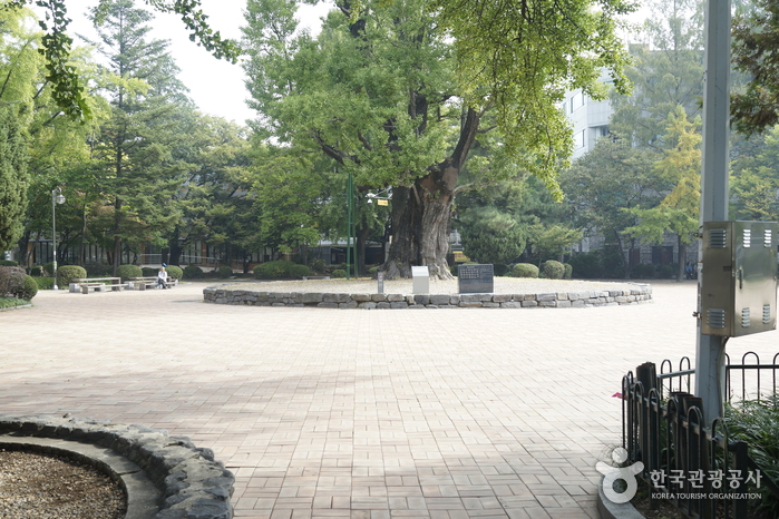 清州中央公園(청주 중앙공원)