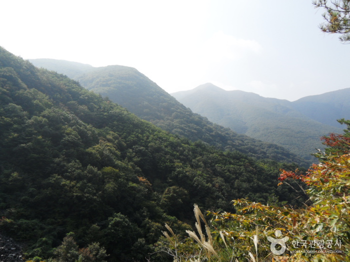 迦智山道立公園(密陽)(가지산도립공원(밀양))