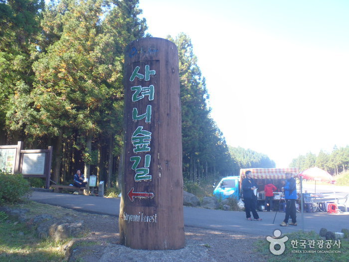 Saryeoni Forest Trail (사려니숲길)