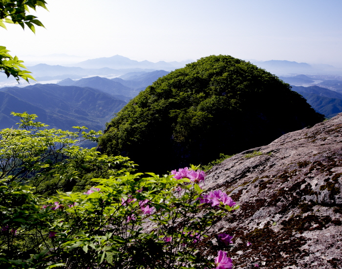 Gwangyang Baegunsan Mountain (백운산(광양))