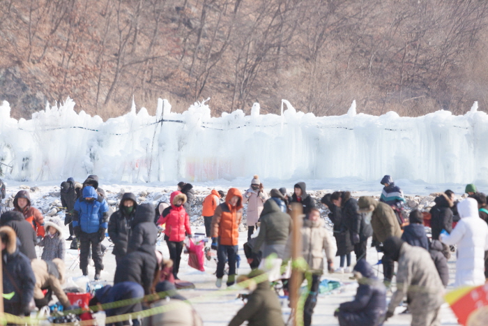 Gapyeong Singsing Trout Festival (가평씽씽송어축제)