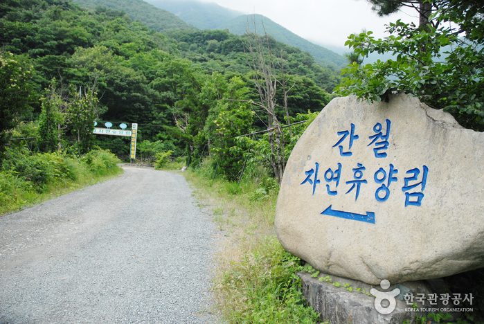 Ganwol Recreational Forest (간월자연휴양림)