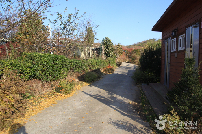 [Ganghwa Nadeul-gil Course 7] Setting Sun Trail ([강화 나들길 제7코스] 낙조보러 가는 길)
