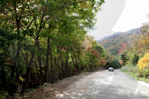Unmunsan County Park (운문산군립공원)