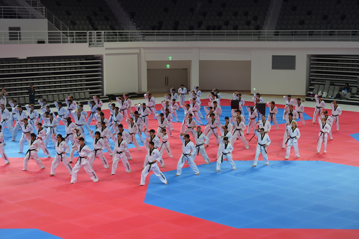 Taekwondowon (국립태권도원)