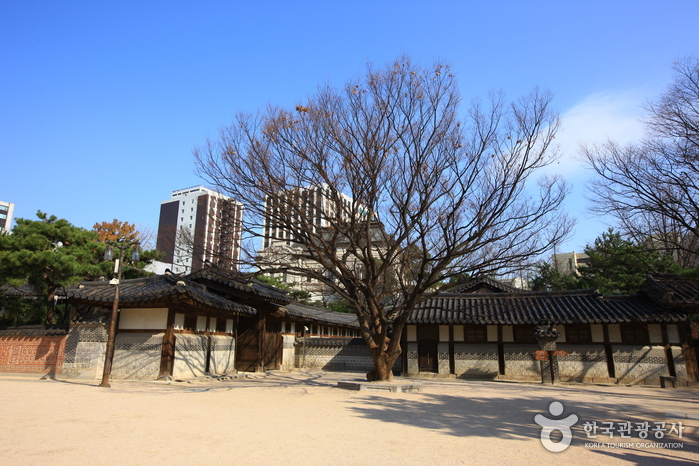 Unhyeongung Royal Residence (서울 운현궁)
