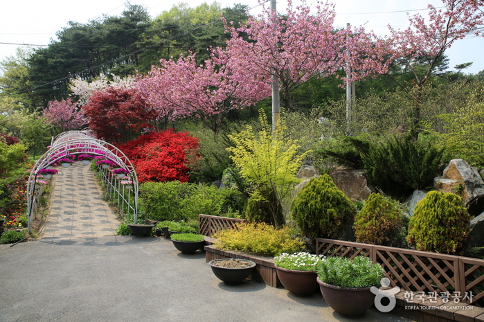 Kohwun Garden (고운식물원)