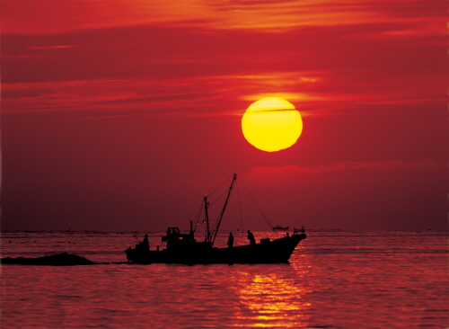 Yeongdeok Sunrise Festival (영덕 해맞이 경북대종 타종식) Yeongdeok Sunrise Festival (영덕 해맞이 경북대종 타종식)