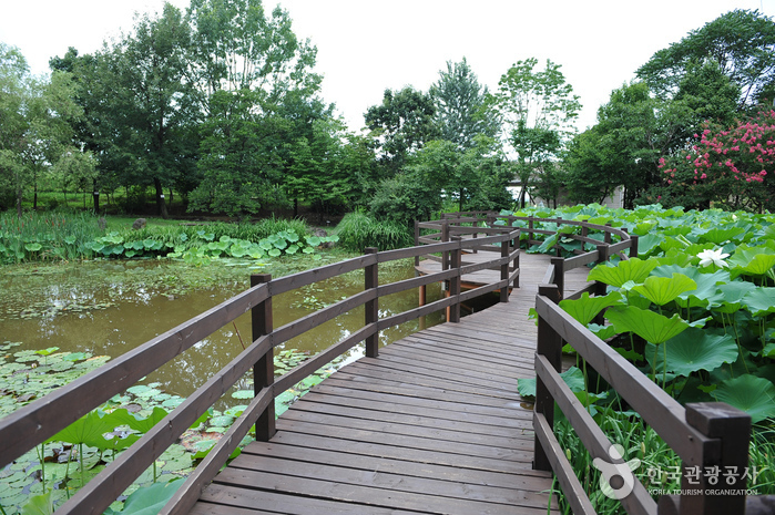 Korea Expressway Corporation Arboretum (Jeonju Arboretum) (한국도로공사수목원(전주수목원))