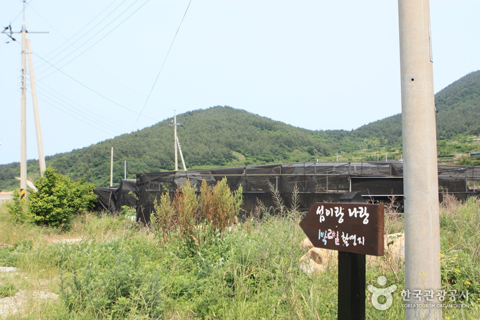 Cheongsando Slow Walking Festival (청산도 슬로걷기축제)