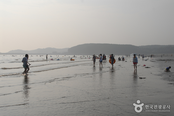 Mongsanpo Beach (몽산포해수욕장)