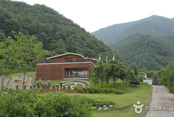 Yanggu Eco-Botanical Garden (양구생태식물원)