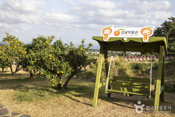 Seogwipo Citrus Museum (감귤박물관)