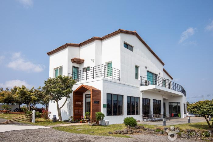 Tilda House [Korea Quality] / 틸다하우스 [한국관광 품질인증]