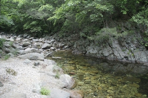 Yongdae National Recreational Forest (국립 용대자연휴양림)