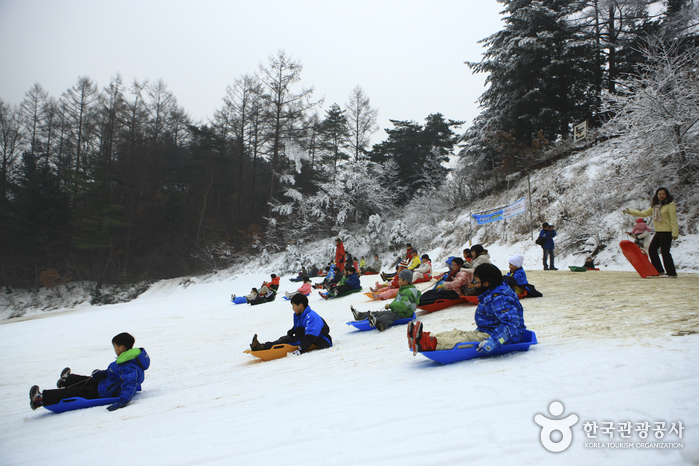 Hanwha Resort - Yangpyeong Sledding Park (양평한화리조트 눈썰매장)