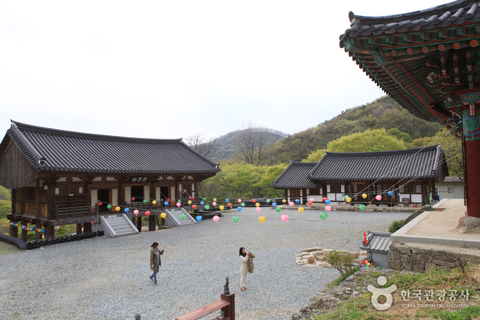 Hampyeong Yongcheonsa Temple (용천사(함평))