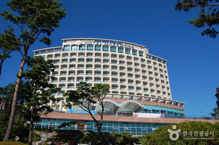 Hotel Maremons (호텔 마레몬스) Hotel Maremons (호텔 마레몬스)
