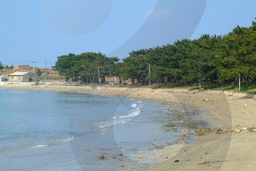 Jiri Beach (지리해수욕장)