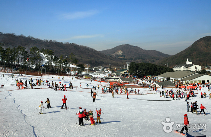 Jisan Forest Ski Resort (지산 포레스트 리조트 스키장)