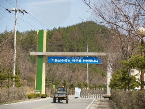 Midongsan Arboretum (미동산수목원)