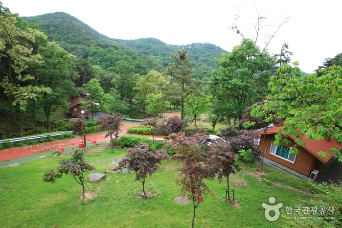 Songjeong Recreational Forest (칠곡 송정자연휴양림)