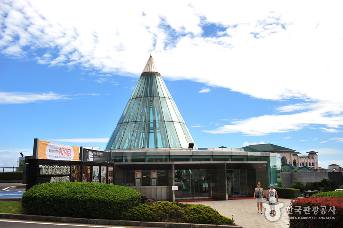 Teddy Bear Museum (테디베어뮤지엄 제주)