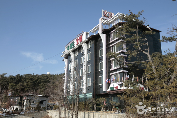 Hotel Seaworld (씨월드관광호텔) Hotel Seaworld (씨월드관광호텔)