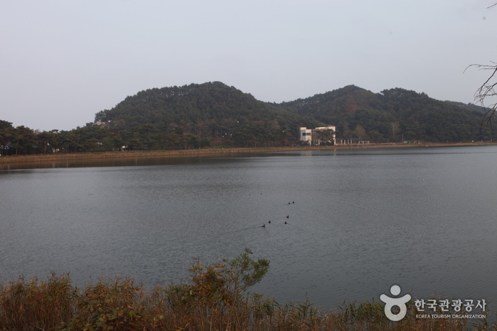 Hwajinpo Lake (화진포(화진포호))