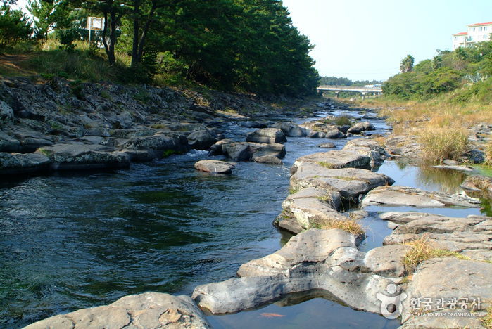 Gangjeongcheon Stream (강정천)
