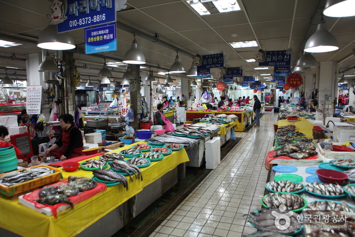 Jumunjin Fish Market (강릉 주문진수산시장)