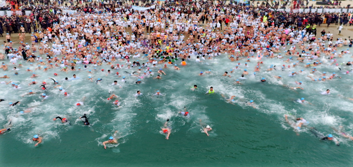 Haeundae Polar Bear Festival (해운대 북극곰 축제)