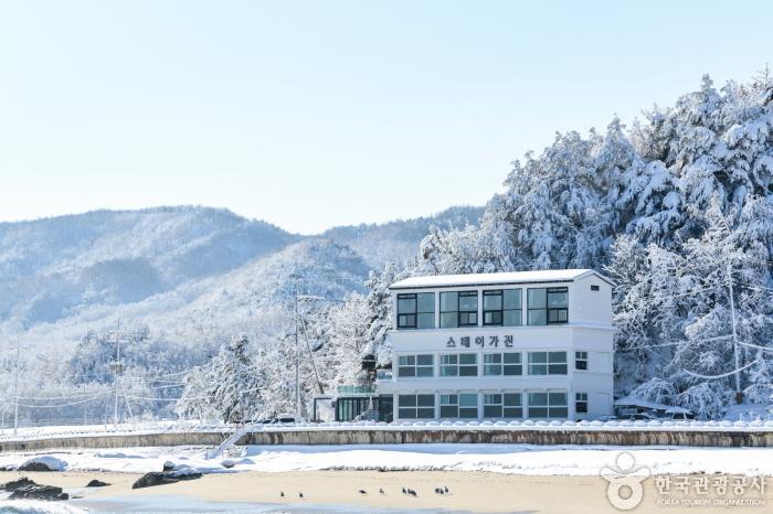 Stay Gajin [Korea Quality] / 스테이가진 [한국관광 품질인증]