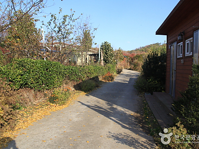 [Ganghwa Nadeul-gil Course 7] Setting Sun Trail ([강화 나들길 제7코스] 낙조보러 가는 길)