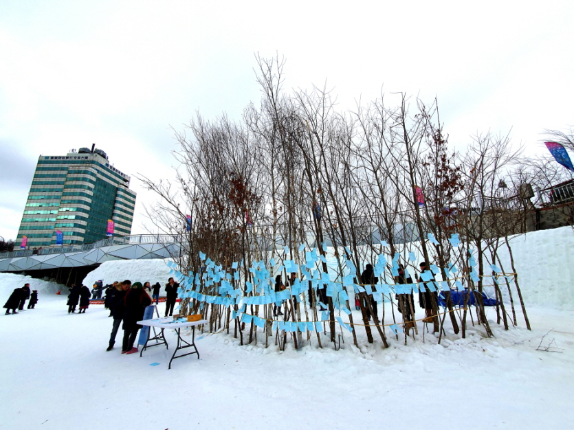 Daegwallyeong Snow Festival (대관령 눈꽃축제)