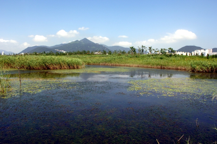 île Eulsukdo (을숙도 공원)