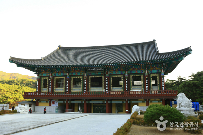 동화사 산사체험 동화사 산사체험