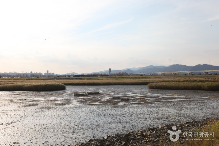 Île Eulsukdo (을숙도)