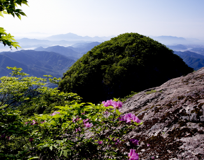 Berg Baegunsan (백운산(광양))