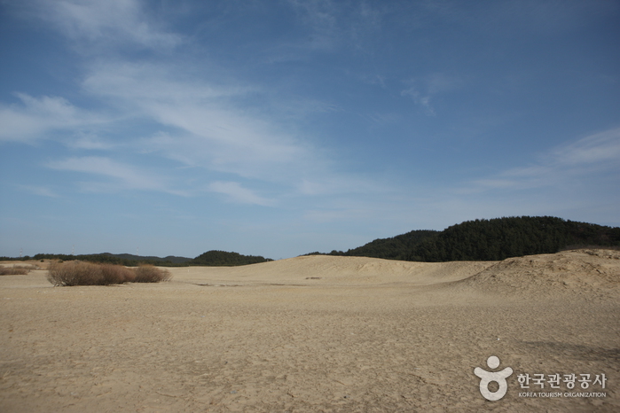 Dünenküste Sinduri (태안 신두리 해안사구)