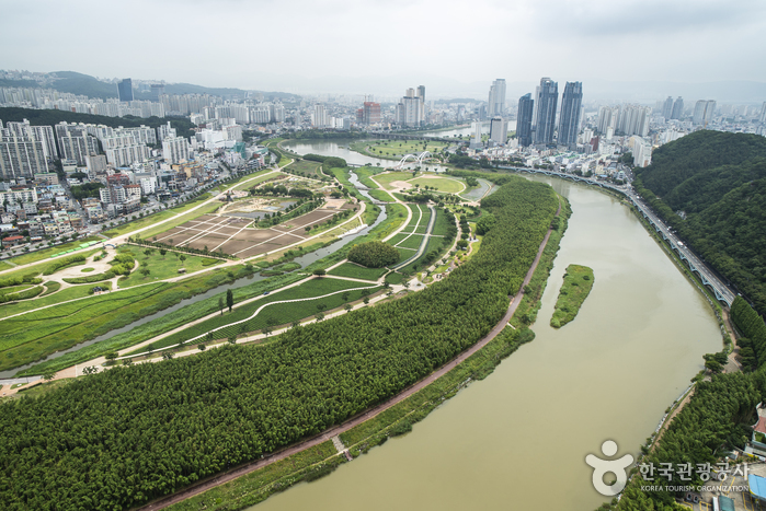 Fluss Taehwagang (태화강) Fluss Taehwagang (태화강)