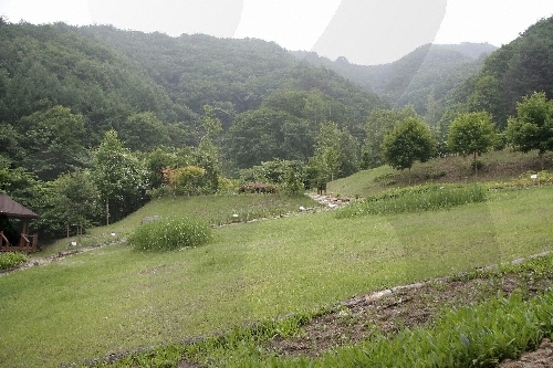 Erholungswald Chiaksan (치악산자연휴양림)
